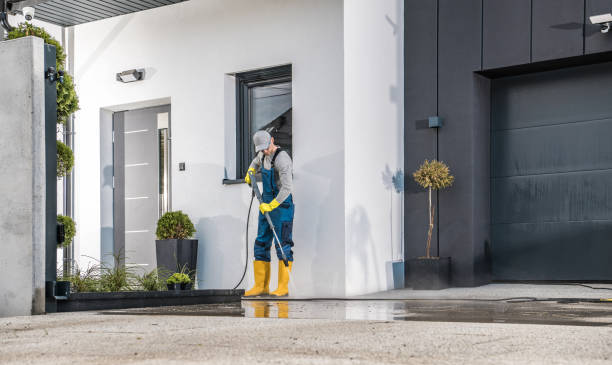 Best Post-Construction Pressure Washing  in South Rockwood, MI